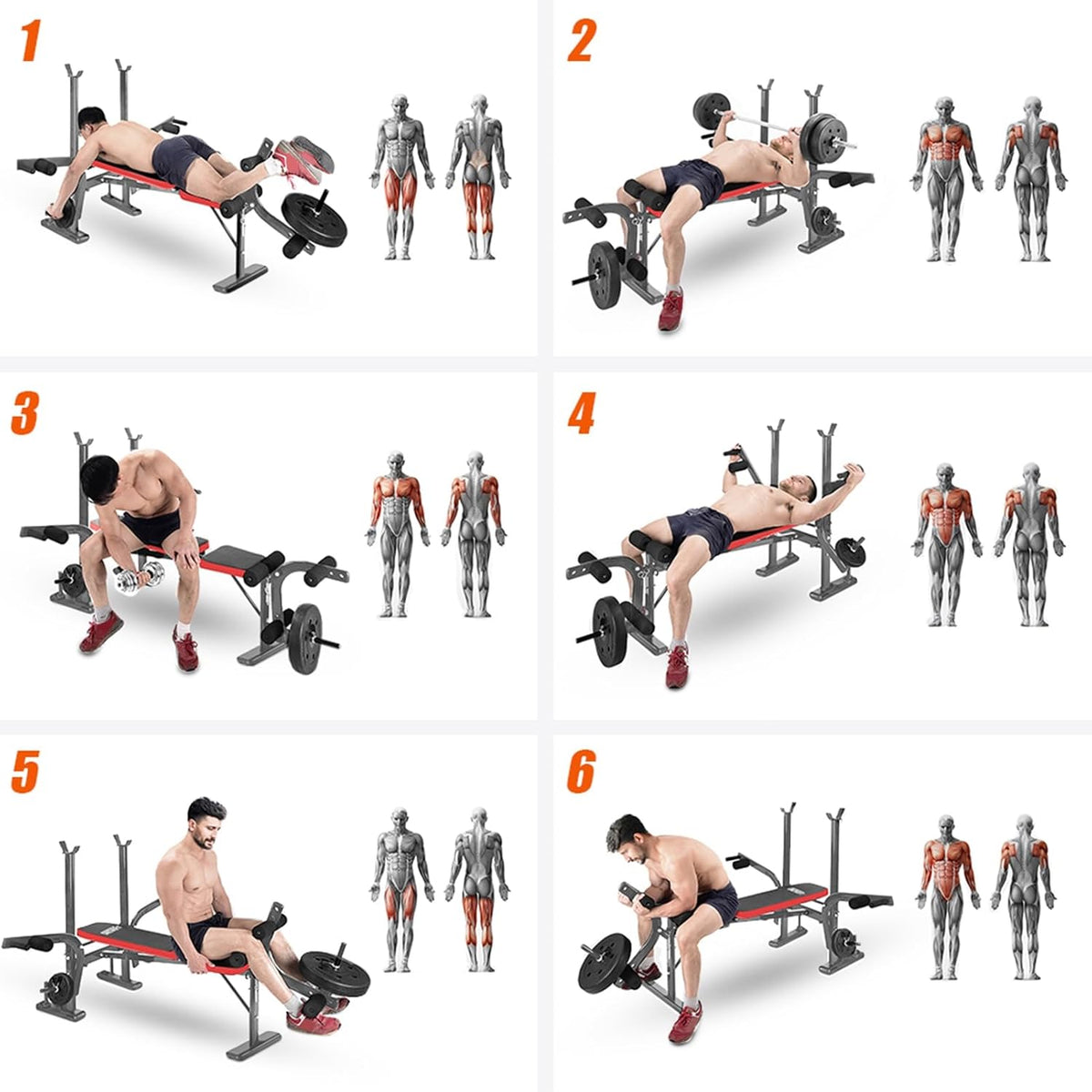Weight Ben Set with Leg Extension/Curl and Preacher Curl Pad, Leg Developer, Foldable Workout Ben for Home, 800LBS, 4 in 1 Design(Us Stock）